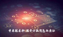 中本聪质押：揭开小狐钱包的奥秘