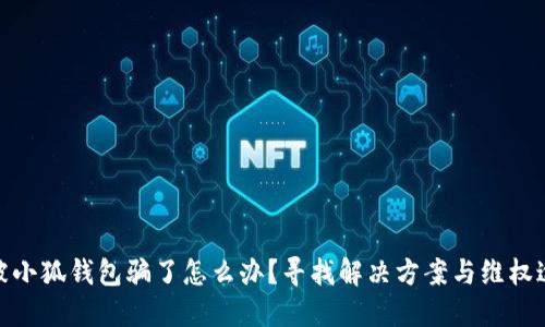 : 被小狐钱包骗了怎么办？寻找解决方案与维权途径