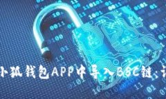 如何在小狐钱包APP中导入BSC链：详细指南