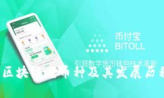  区块链老币种及其发展历程