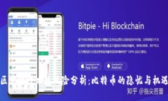 区块链技术的风险分析：