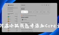 如何在小狐钱包中添加C