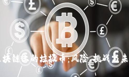 区块链上的垃圾币：风险、挑战与未来