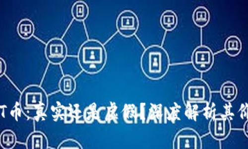 区块链SIT币：真实还是虚假？深度解析其价值与未来