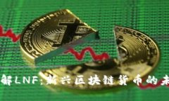 深入了解LNF：新兴区块链