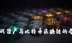 植物大战僵尸与比特币区