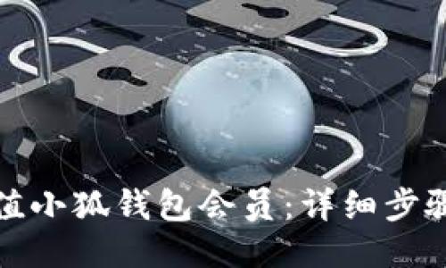 如何充值小狐钱包会员：详细步骤与技巧
