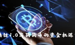 区块链1.0与狗狗币的资金