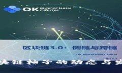 最新区块链柚子的动态与
