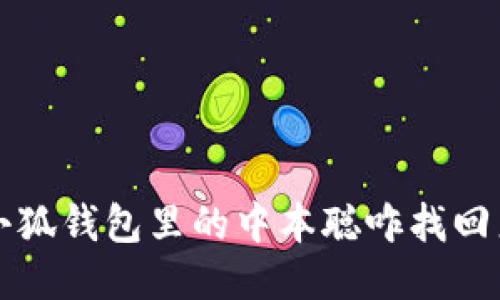 小狐钱包里的中本聪咋找回来