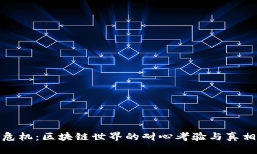 假币危机：区块链世界的耐心考验与真相揭露