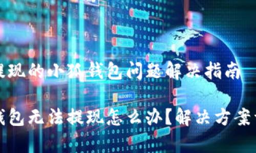 无法提现的小狐钱包问题解决指南

小狐钱包无法提现怎么办？解决方案详解析