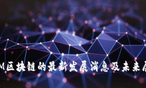 BTM区块链的最新发展消息及未来展望