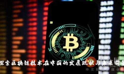 探索区块链技术在中国的发展现状与未来前景