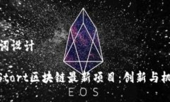 和关键词设计: 探索Stort区