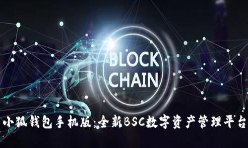 小狐钱包手机版：全新BSC数字资产管理平台