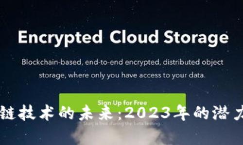 区块链技术的未来：2023年的潜力分析