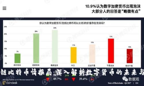 区块链比特币情报局：深入解析数字货币的未来与挑战