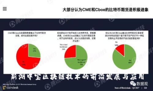 新湖中宝区块链技术的前沿发展与应用