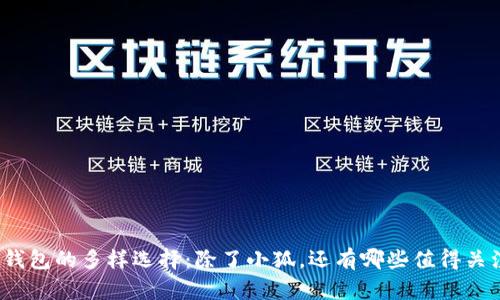 数字货币钱包的多样选择：除了小狐，还有哪些值得关注的钱包？