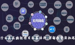 什么是区块链项目私募币