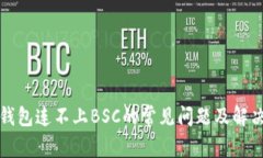小狐钱包连不上BSC的常见