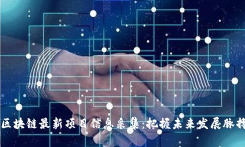区块链最新项目信息采集：把握未来发展脉搏