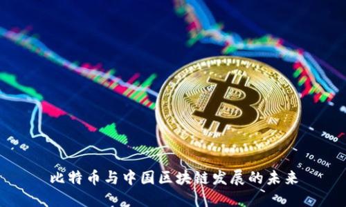 比特币与中国区块链发展的未来