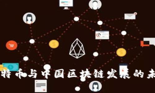比特币与中国区块链发展的未来