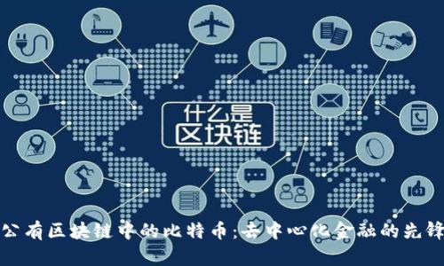 公有区块链中的比特币：去中心化金融的先锋