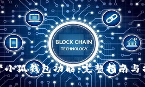 如何打开小狐钱包功能：完整指南与操作步骤