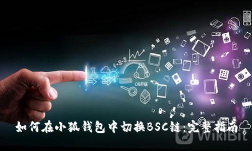 如何在小狐钱包中切换BSC链：完整指南