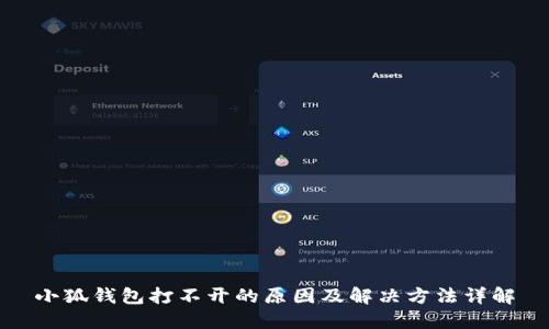 小狐钱包打不开的原因及解决方法详解