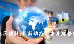 鸵鸟区块链：最新动态与
