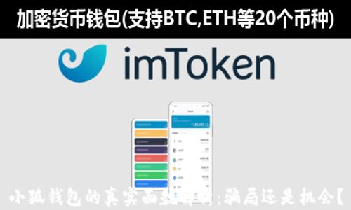 
小狐钱包的真实面貌解析：骗局还是机会？