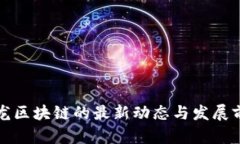 沙龙区块链的最新动态与