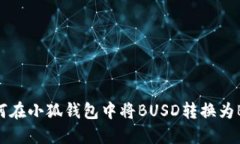 如何在小狐钱包中将BUSD转