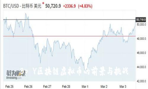 Bp Y区块链虚拟币的前景与挑战