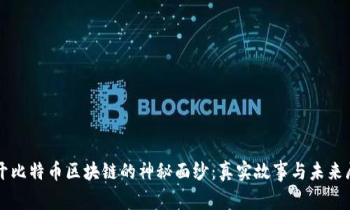 揭开比特币区块链的神秘面纱：真实故事与未来展望