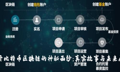 揭开比特币区块链的神秘面纱：真实故事与未来展望