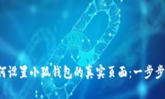  如何设置小狐钱包的真实