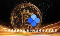 PM币在区块链技术中的应用
