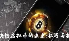   区块链虚拟币的未来：机