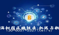 探秘上海树图区块链币：