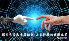 探索长沙无币区块链：未