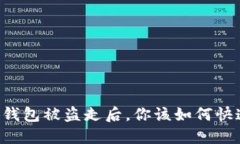当小狐钱包被盗走后，你