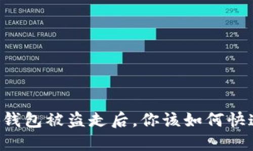 当小狐钱包被盗走后，你该如何快速应对？