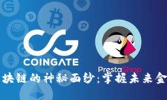 揭开比特币区块链的神秘面纱：掌握未来金融的