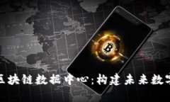 探索奇亚币区块链数据中