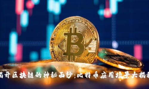 揭开区块链的神秘面纱：比特币应用场景大揭秘